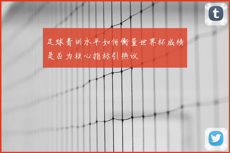 足球青训水平如何衡量世界杯成绩是否为核心指标引热议
