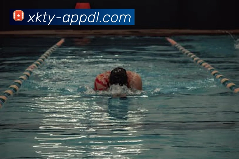 App Interface Preview